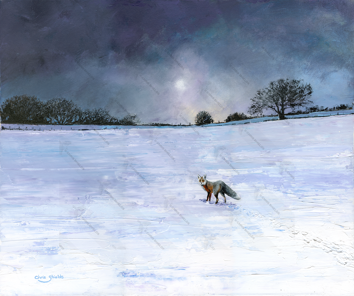 Painting of Fox on West Pennine Winter Moor