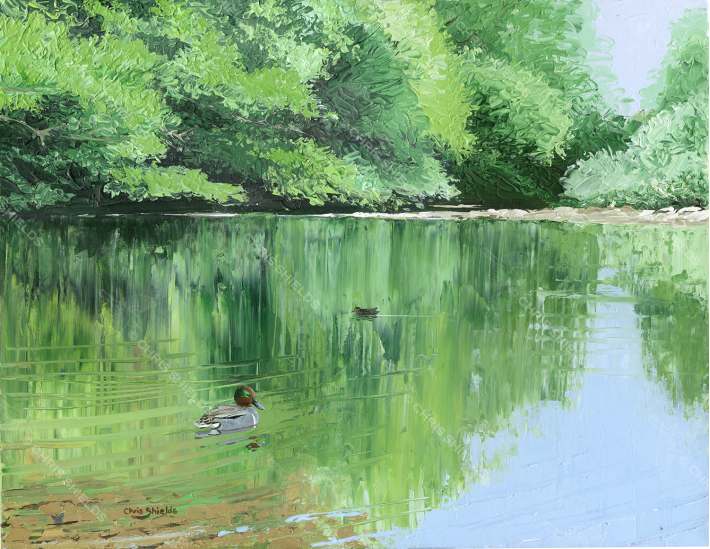 Painting of Summer River Reflections