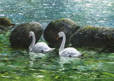 Painting of Behind the Rocks