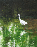 Painting of Great Egret