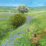 Painting of Peak District Spring